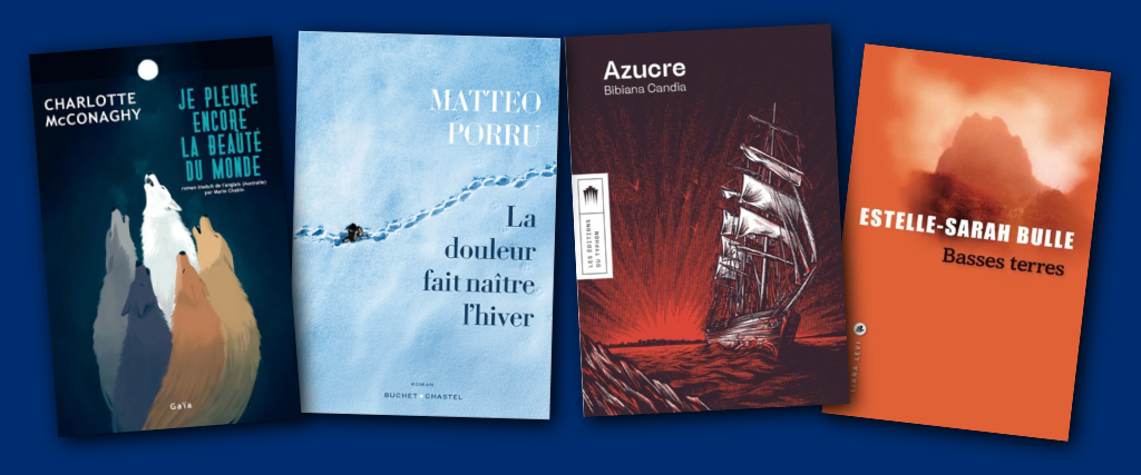 Couvertures des 4 livres sélectionnés pour concourir au prix des lecteurs des médiathèques de DLVAgglo 2025